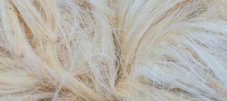 supplier of sustainable vegan leather in EU supplier of sustainable vegan leather in US