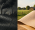 Sustainable Leather Alternatives Vegan Leather | Plant based Leather | Eco Leather