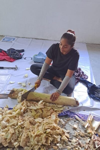 Cruelty-Free Leather | Banofi