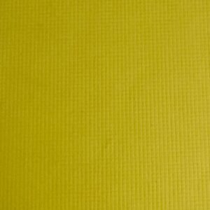 Vegan Leather Plant based Leather Sustainable Leather